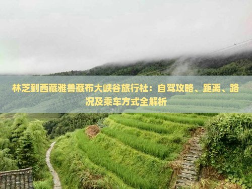 林芝到西藏雅鲁藏布大峡谷旅行社
