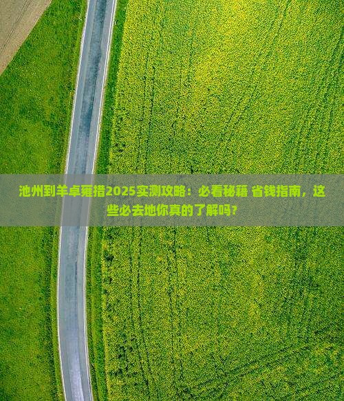 池州到西藏羊卓雍措必去地