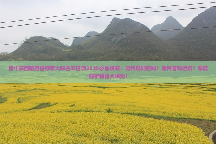 晋中去西藏雅鲁藏布大峡谷五日游