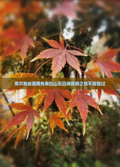 库尔勒去西藏色季拉山五日游