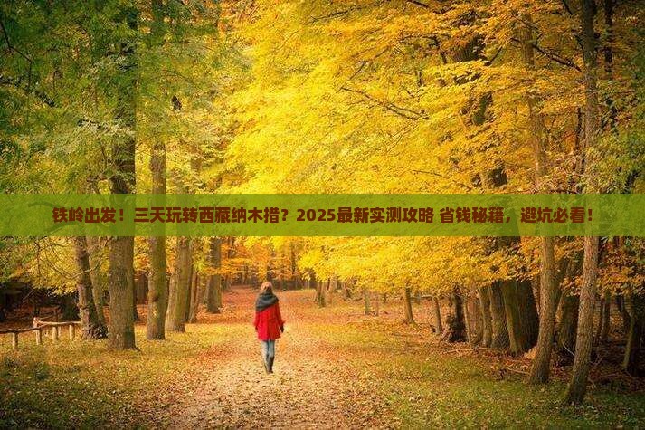 铁岭到西藏纳木措三日游
