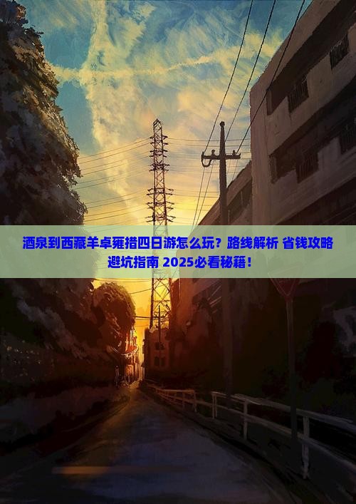 酒泉到西藏羊卓雍措四日游