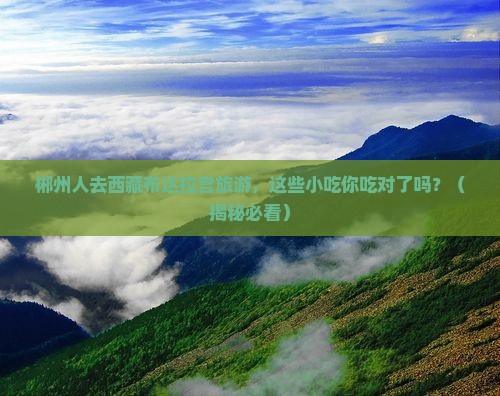 郴州去西藏布达拉宫旅游小吃