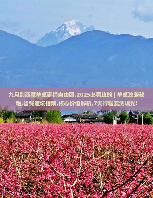 九月到西藏羊卓雍措自由团