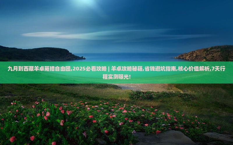 九月到西藏羊卓雍措自由团