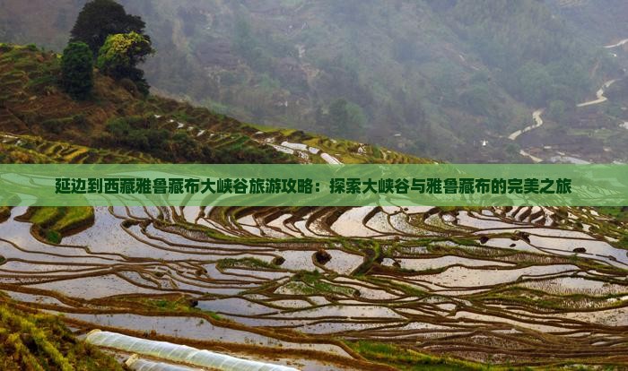 延边到西藏雅鲁藏布大峡谷个人游