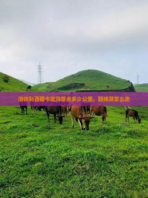 清徐到西藏卡定沟景点