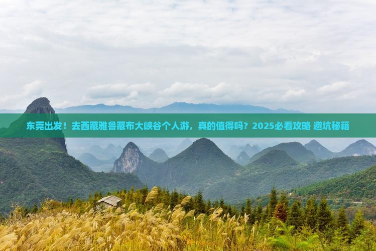 东莞去西藏雅鲁藏布大峡谷个人游