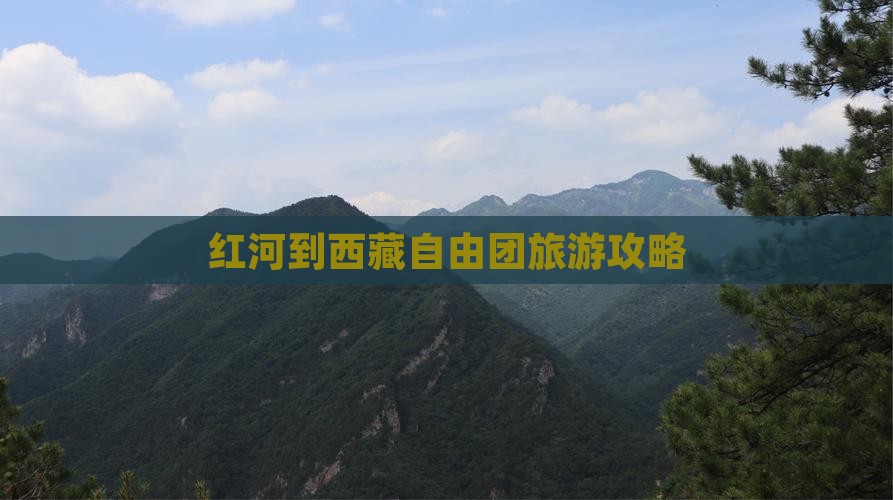 红河到西藏自由团