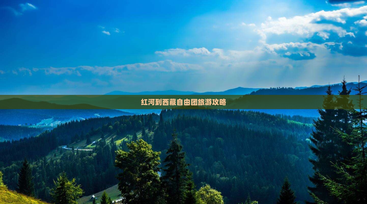 红河到西藏自由团