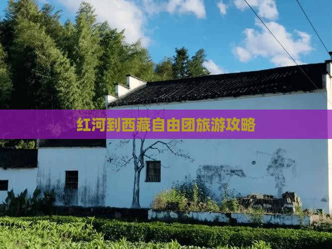 红河到西藏自由团