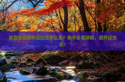 昌吉去西藏布达拉宫攻略