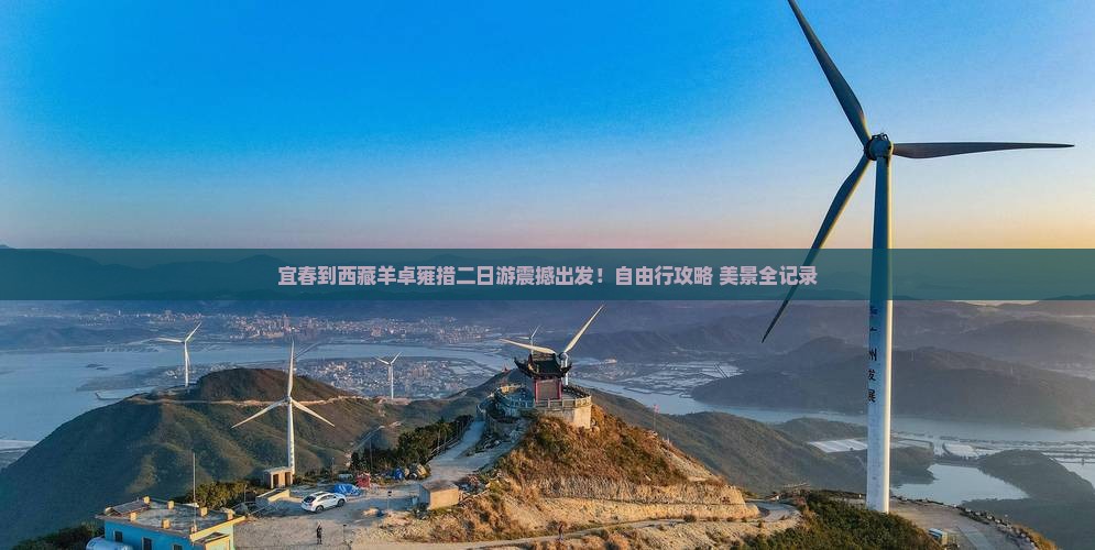 宜春到西藏羊卓雍措二日游