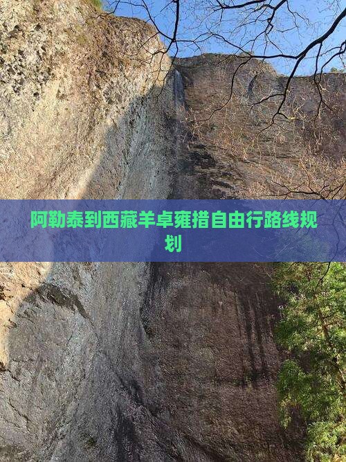 阿勒泰到西藏羊卓雍措自由行