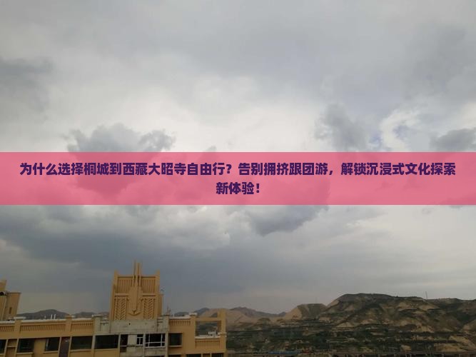 桐城到西藏大昭寺自由行
