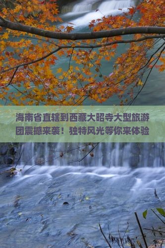 海南省直辖到西藏大昭寺大型旅游团