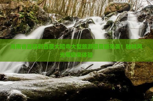 海南省直辖到西藏大昭寺大型旅游团