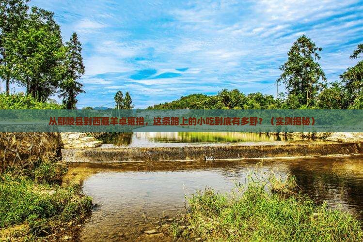 鄢陵县到西藏羊卓雍措旅游小吃