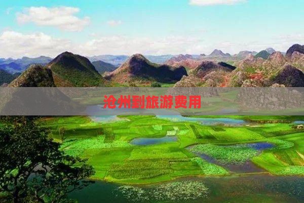 沧州到西藏门票