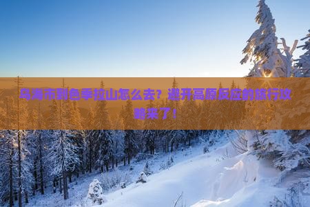 乌海市到西藏色季拉山旅行社