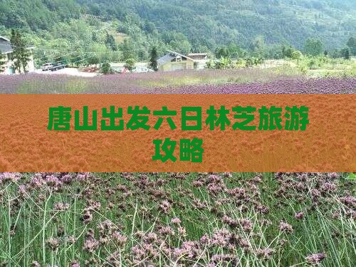 唐山到西藏林芝六日游