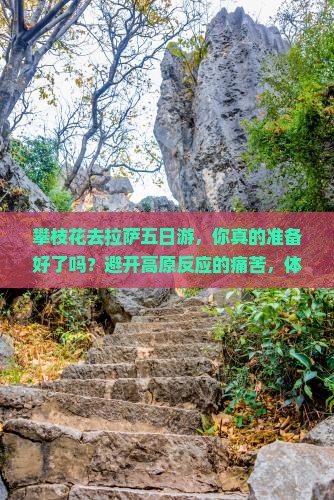 攀枝花去西藏拉萨五日游