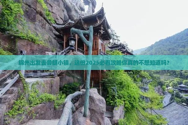 锦州去西藏鲁朗小镇大型旅游团