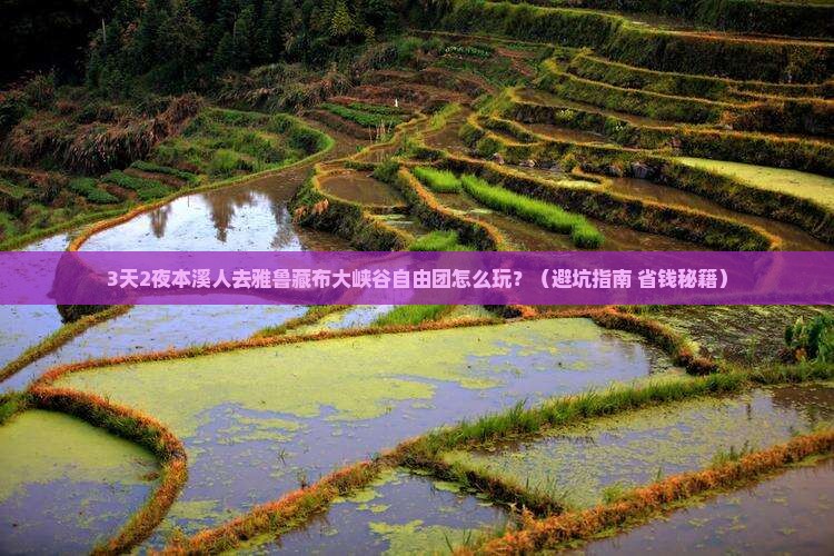 本溪去西藏雅鲁藏布大峡谷自由团