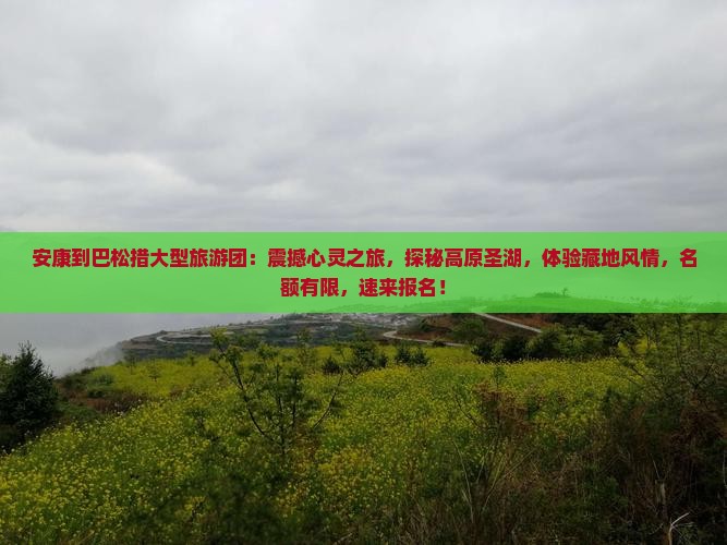 安康到西藏巴松措大型旅游团