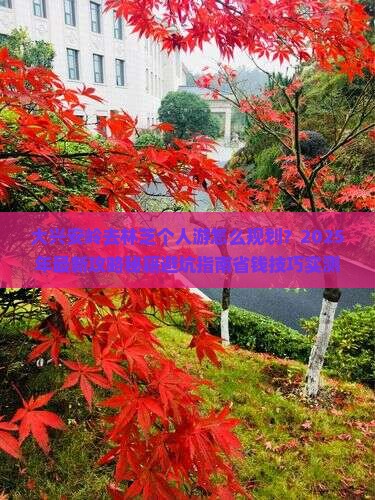 大兴安岭去西藏林芝个人游