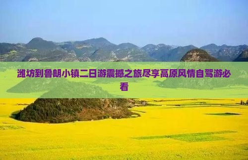 潍坊到西藏鲁朗小镇二日游