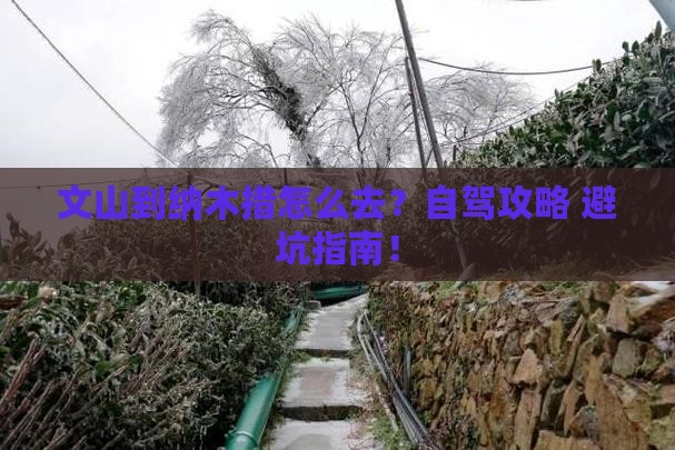 文山到西藏纳木措攻略