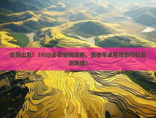 定西到西藏羊卓雍措旅行社