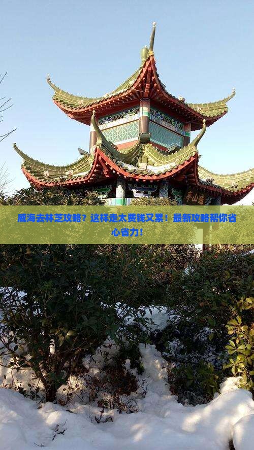 威海去西藏林芝攻略