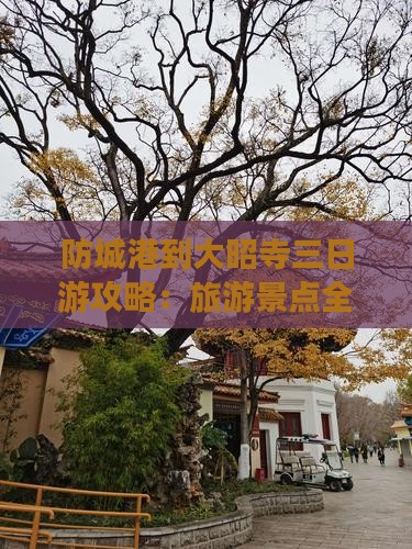 防城港到西藏大昭寺三日游