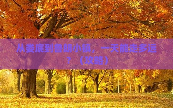 娄底到西藏鲁朗小镇一日
