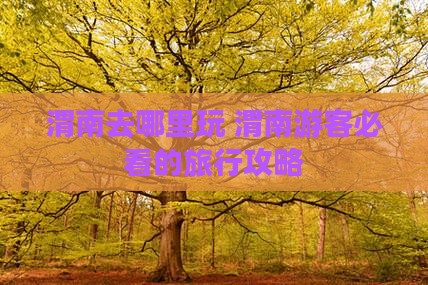 渭南去西藏哪里玩