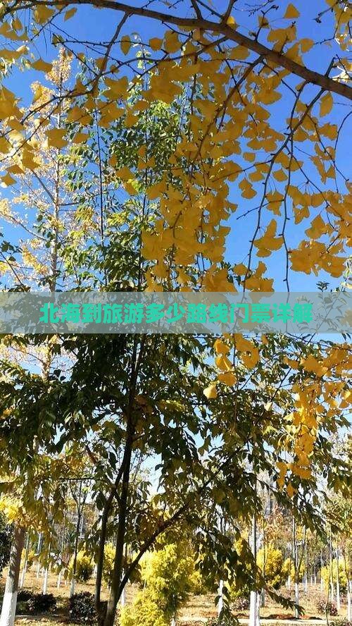 北海去西藏门票