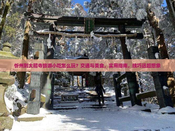 忻州到西藏大昭寺旅游小吃