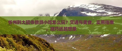 忻州到西藏大昭寺旅游小吃