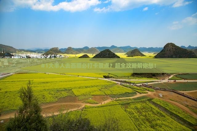 大丰去西藏哪里玩