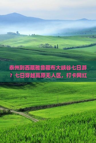 泰州到西藏雅鲁藏布大峡谷七日游