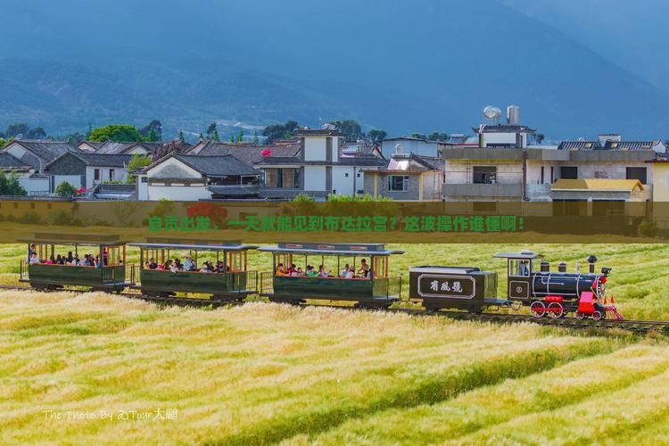 自贡到西藏布达拉宫一日