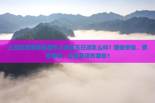 三亚去西藏雅鲁藏布大峡谷五日游