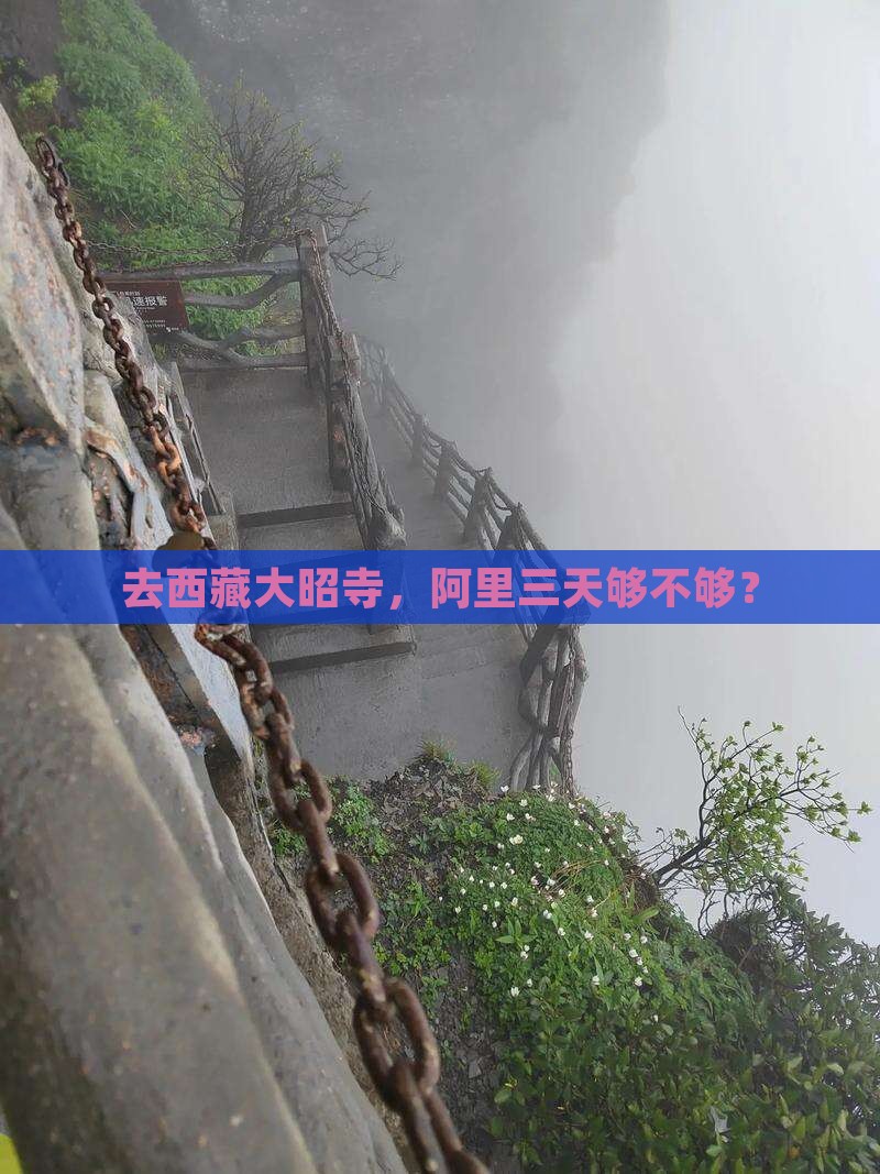 阿里去西藏大昭寺三日游