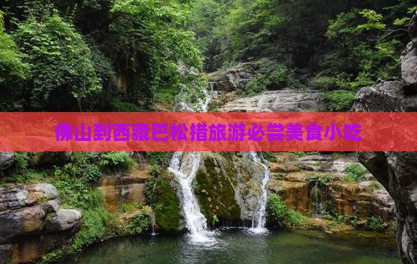 佛山到西藏巴松措旅游小吃