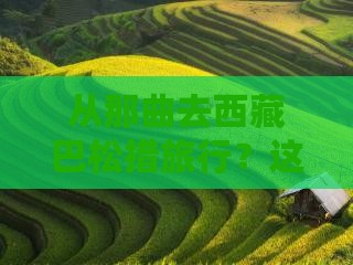 那曲到西藏巴松措团体旅游