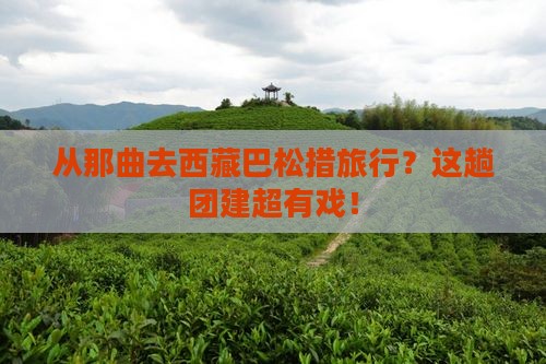 那曲到西藏巴松措团体旅游