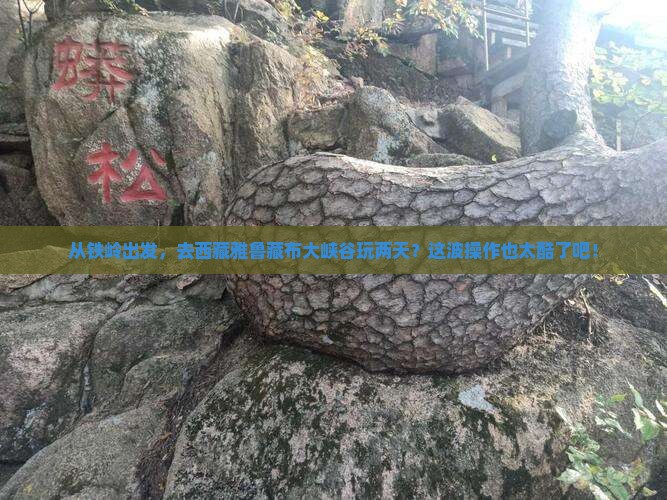 铁岭去西藏雅鲁藏布大峡谷二日游
