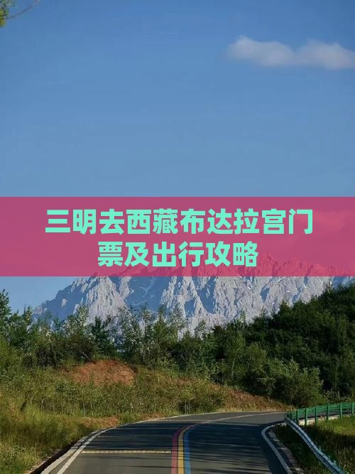 三明去西藏布达拉宫门票